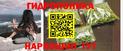 ПСИЛОЦИБИНОВЫЕ ГРИБЫ Сланцы