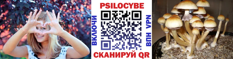 Галлюциногенные грибы мицелий  продажа наркотиков  Татарск 