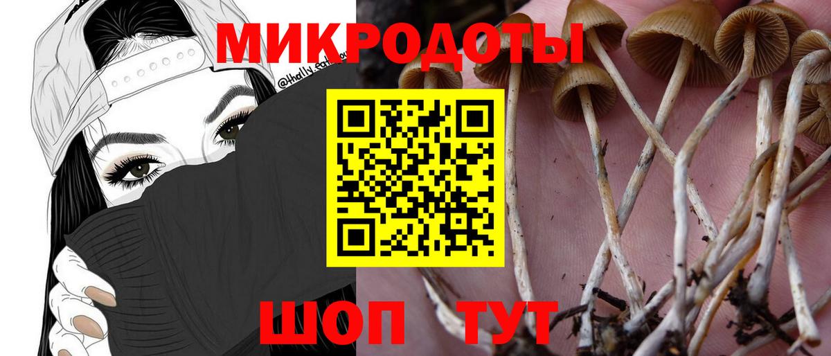Галлюциногенные грибы MAGIC MUSHROOMS Татарск
